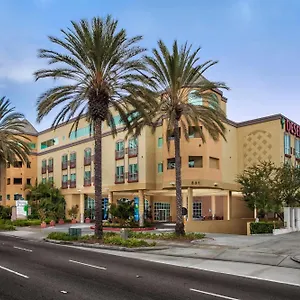 Desert Palms & USA